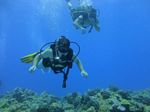 Hawaii Scuba divng 62