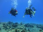 Hawaii Scuba divng 63