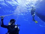 Hawaii Scuba divng 10