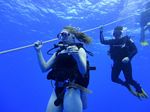 Hawaii Scuba divng 11