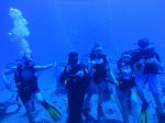 Hawaii Scuba divng 15