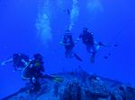 Hawaii Scuba divng 18