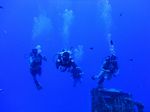 Hawaii Scuba divng 23