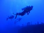 Hawaii Scuba divng 32