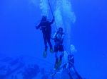 Hawaii Scuba divng 33