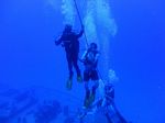 Hawaii Scuba divng 33