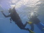 Hawaii Scuba divng 48