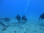 Hawaii Scuba divng 51