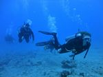 Hawaii Scuba divng 52