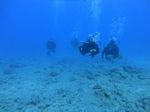 Hawaii Scuba divng 53