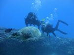 Hawaii Scuba divng 57