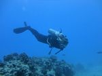 Hawaii Scuba divng 65