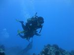 Hawaii Scuba divng 66