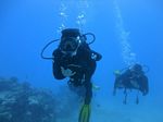 Hawaii Scuba divng 68