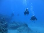 Hawaii Scuba divng 70