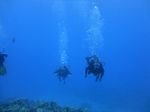 Hawaii Scuba divng 71