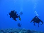 Hawaii Scuba divng 81