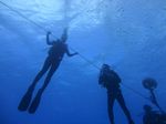 Hawaii Scuba divng 96