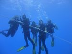 Hawaii Scuba divng 98