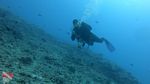 Oahu scuba 24