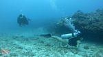 Oahu scuba 88