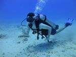 Hawaii Scuba divng 13