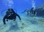 Hawaii Scuba divng 18