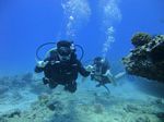 Hawaii Scuba divng 20