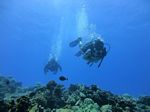 Hawaii Scuba divng 21