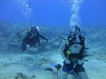 Hawaii Scuba divng 22