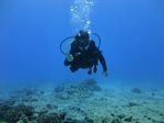 Hawaii Scuba divng 23