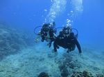 Hawaii Scuba divng 24