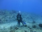 Hawaii Scuba divng 25