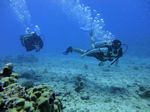 Hawaii Scuba divng 27