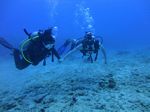 Hawaii Scuba divng 28