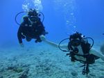 Hawaii Scuba divng 29