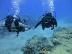 Hawaii Scuba divng 36