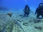 Hawaii Scuba divng 41