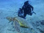 Hawaii Scuba divng 42