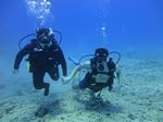 Hawaii Scuba divng 47