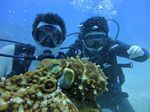 Hawaii Scuba divng 51