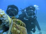 Hawaii Scuba divng 52