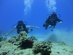 Hawaii Scuba divng 59