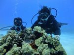 Hawaii Scuba divng 62