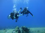 Hawaii Scuba divng 66