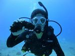 Hawaii Scuba divng 18