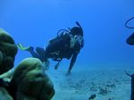 Hawaii Scuba divng 20