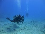 Hawaii Scuba divng 23