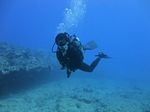 Hawaii Scuba divng 24