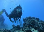 Hawaii Scuba divng 29